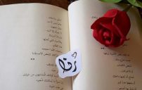 اسم رنا رومانسية