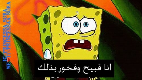 سبونج بوب مضحكة