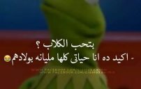 عبارات مضحكة قوية