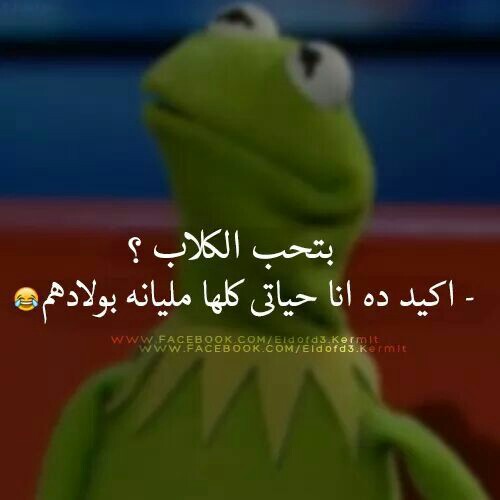 عبارات مضحكة قوية