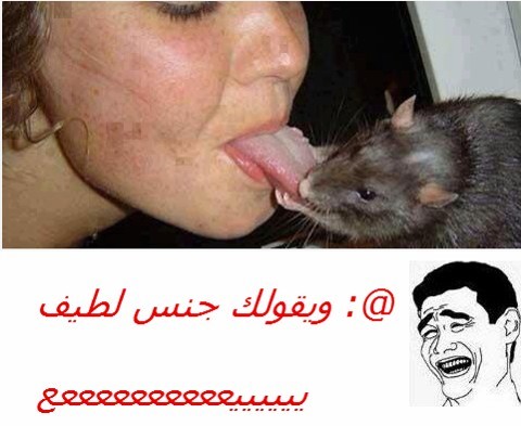 %d8%b5%d9%88%d8%b1-%d9%8a%d8%b9-%d9%84%d9%84%d8%a8%d9%86%d8%a7%d8%aa