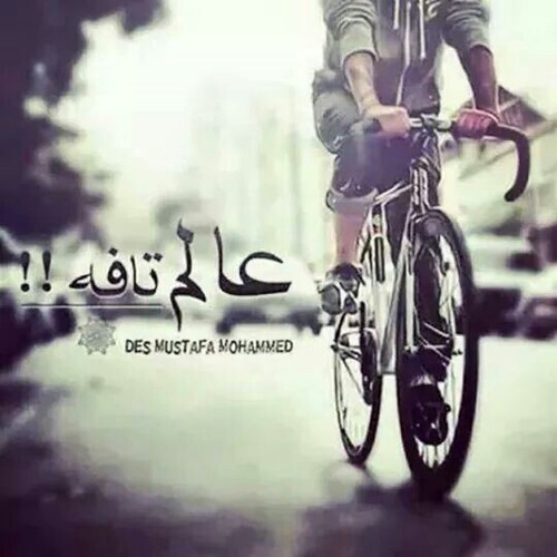 تافة
