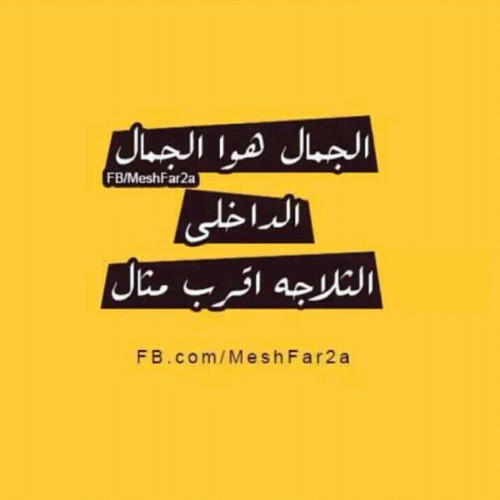مضحك 8