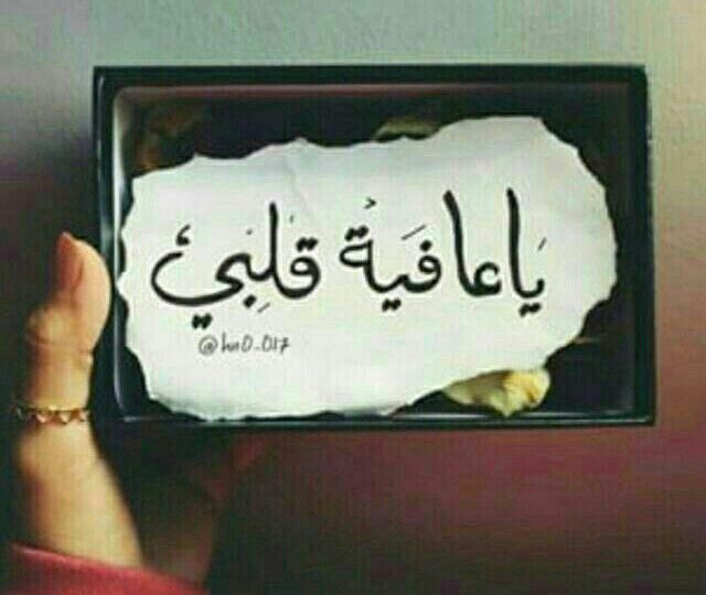 كلمات الحب
