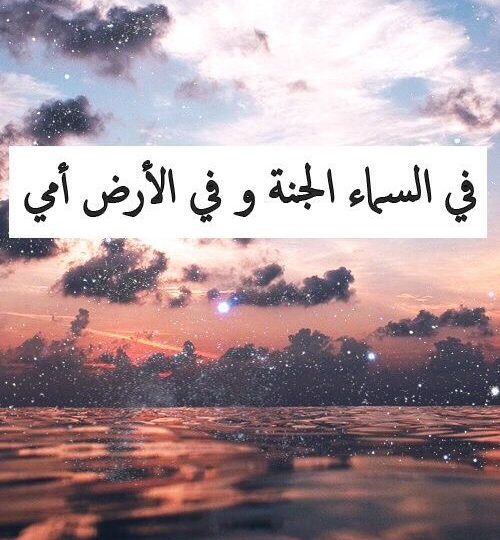 عن الام جميلة