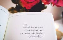 جميلة عن الام