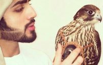 شباب امارات