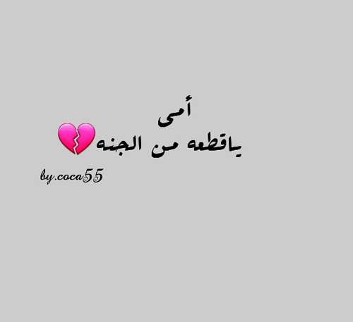%d8%b1%d9%85%d8%b2%d9%8a%d8%a7%d8%aa-%d8%b9%d9%86-%d8%a7%d9%84%d8%a7%d9%85-%d8%ac%d9%85%d9%8a%d9%84%d8%a9