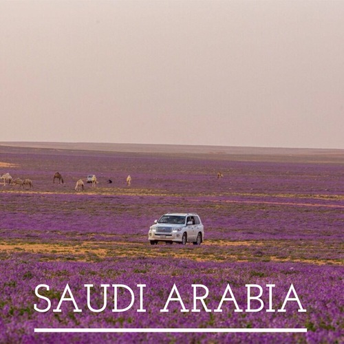 مناظر مكتوب عليها