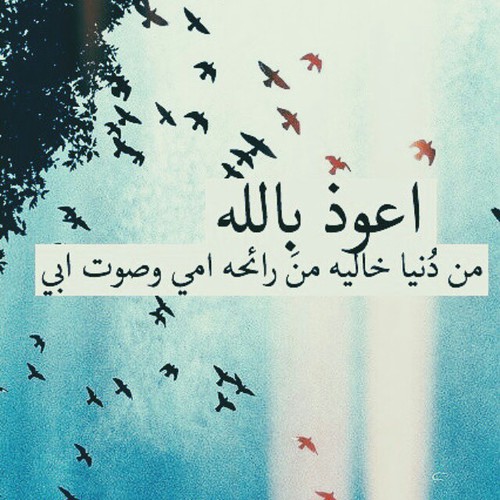 عن الام والاب