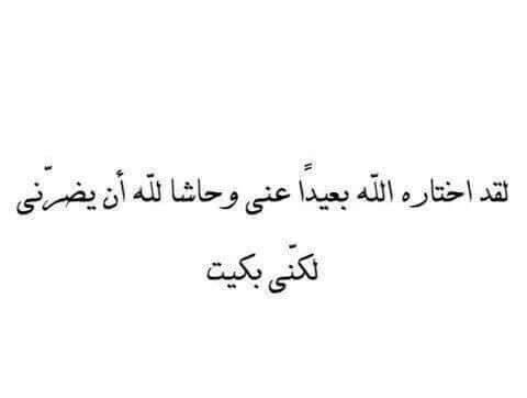 صور الاب 2