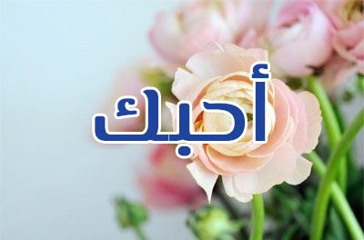على وردة