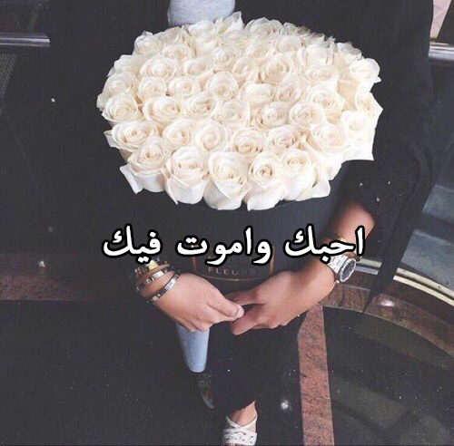 واموت فيك عيد ميلاد