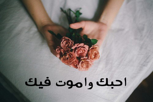 وباقة ورد