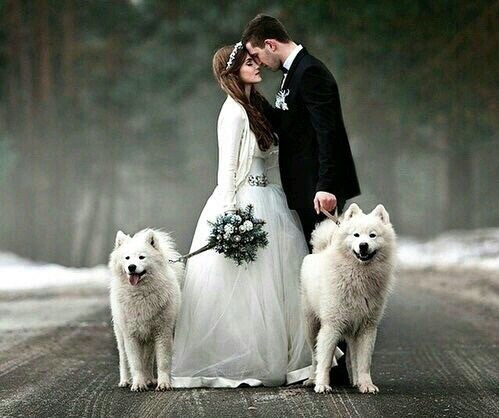 صور زوج
