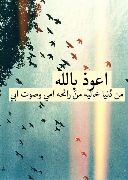 عبارات عن الاب
