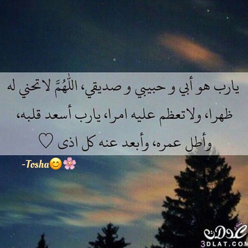 عن الاب 1