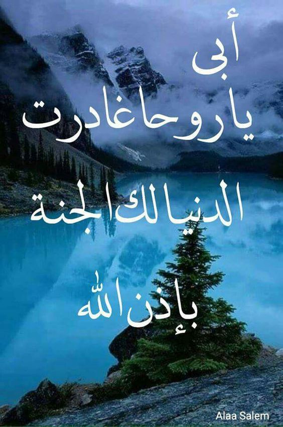 عن الاب المتوفي