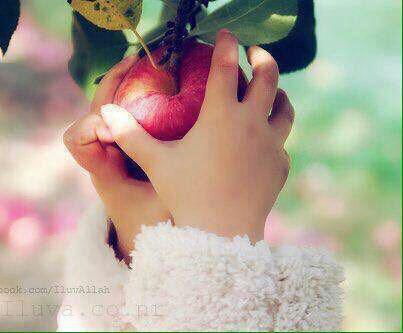 حب قصيرة جداً