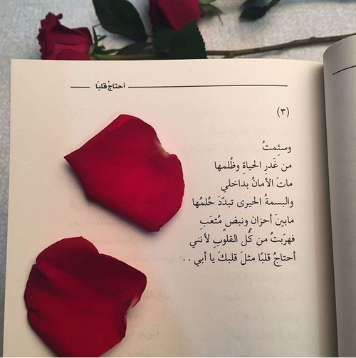 عن الاب
