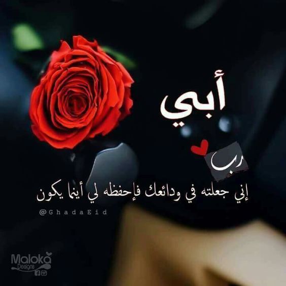 للاب الغائب