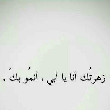 ابي 1