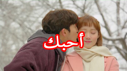 احبك 1