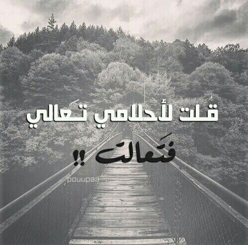 عن الاحلام حزينة