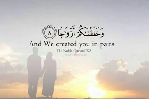 عن الزوج دينية