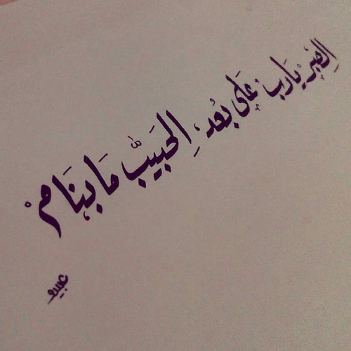 الحبيب