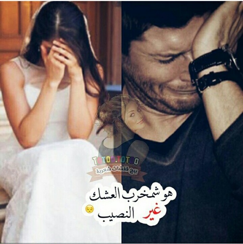 الحبيبة