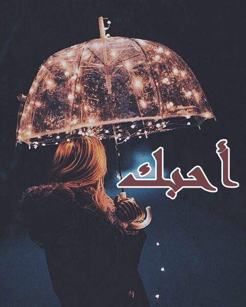احبك شوق