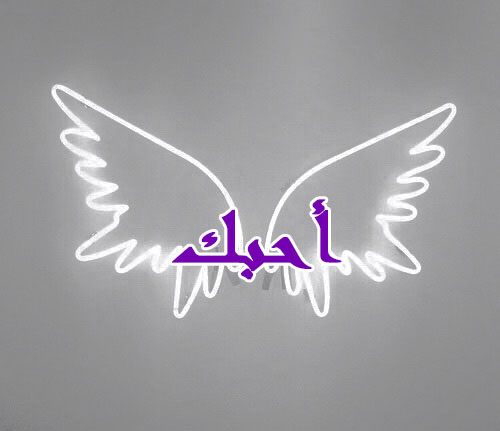 احبك على جناح