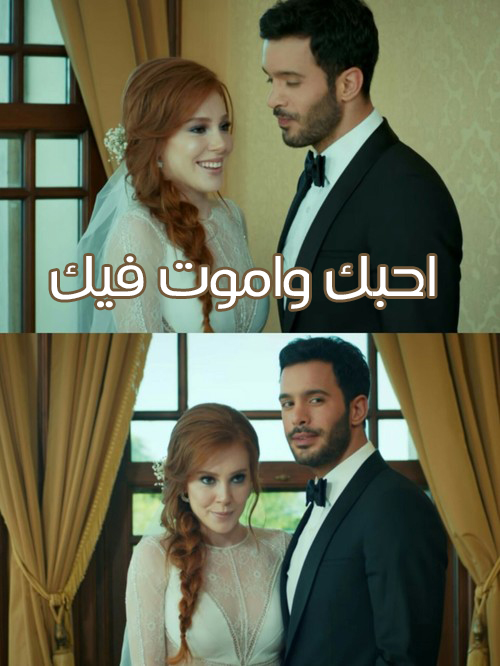 احبك واموت فيك تركية