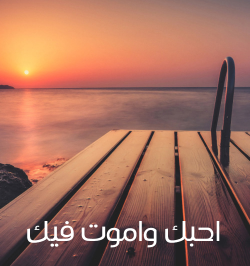 احبك واموت فيك مسائية