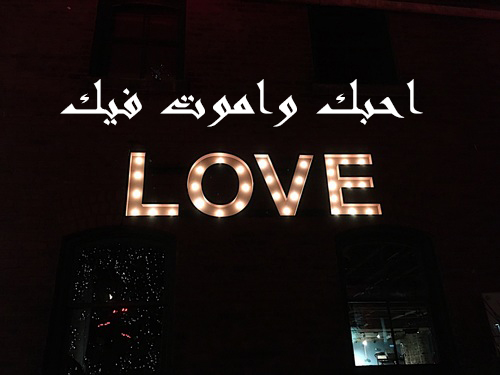 احبك واموت فيك واعشقك