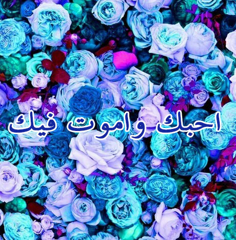 احبك