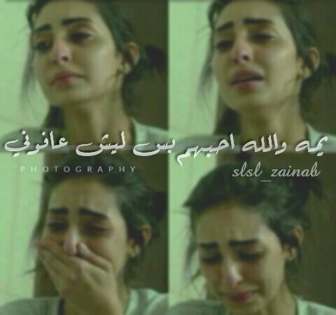 حب بكاء