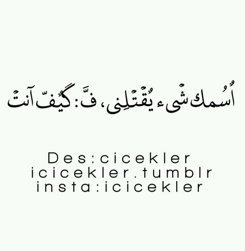 حب للزوج 8
