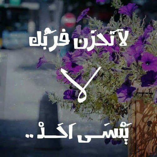 حزينة 24