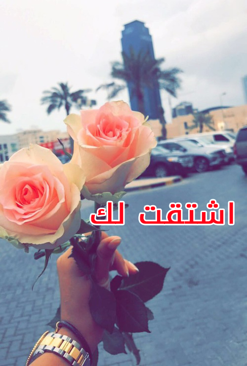 شوق 2