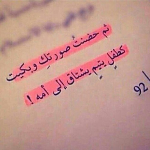 شوق لحبيبي
