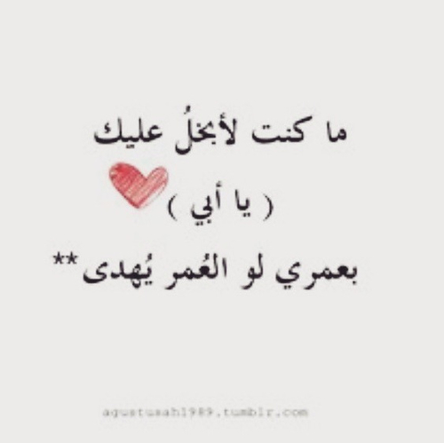 عن الاب 10