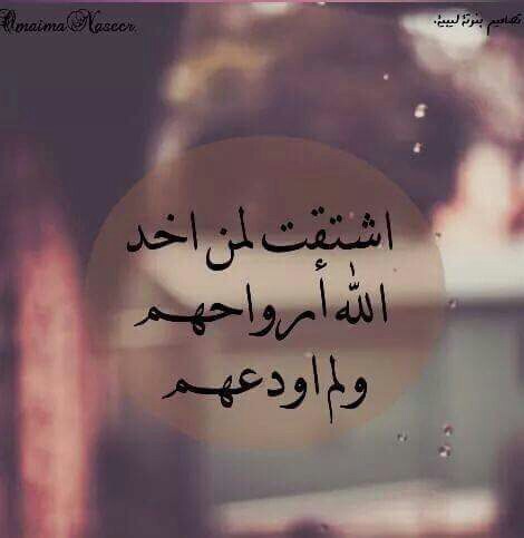عن الاب 6