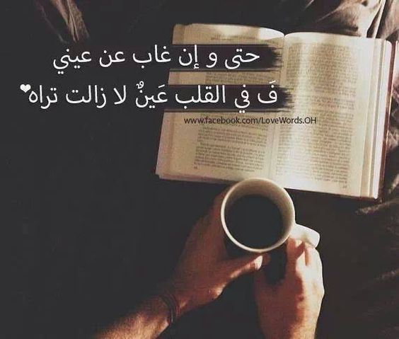عن الاب 8