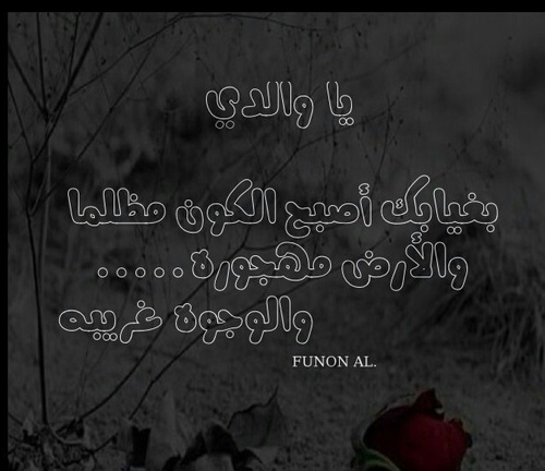 عن الاب الغائب