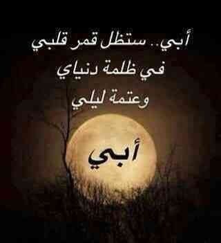 عن الاب المسافر