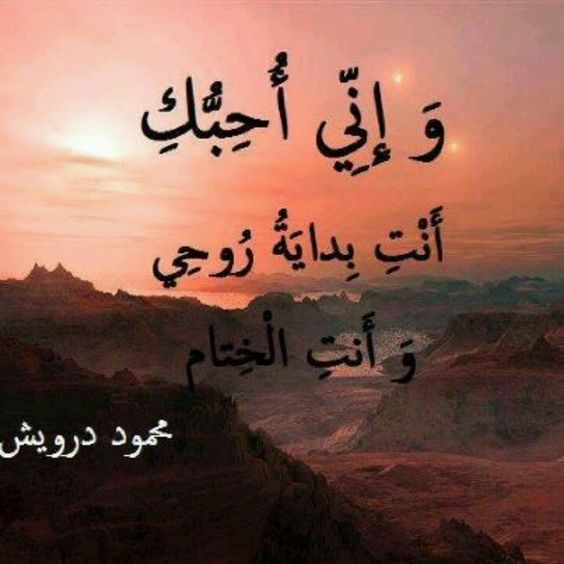 عن الاب رائعة