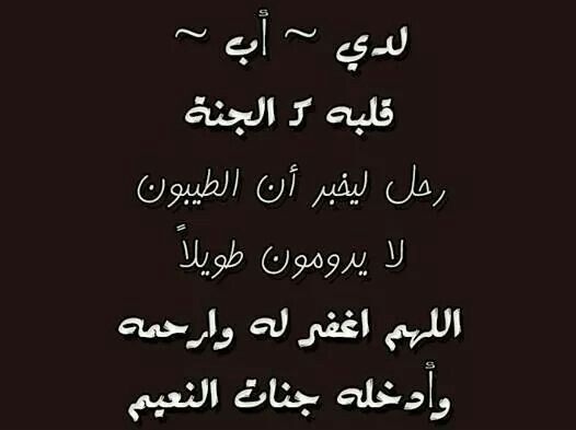 عن الاب روعة 4