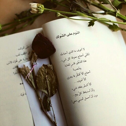 عن الجروح حزينة جدا